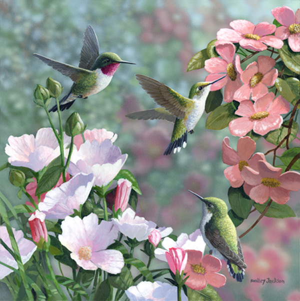 "Garden Visitors" - Hummingbirds "Garden Visitors" - Hummingbirds