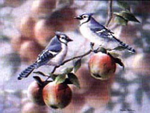 Autumn Days - Blue Jay