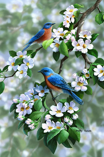 Orchard Blues