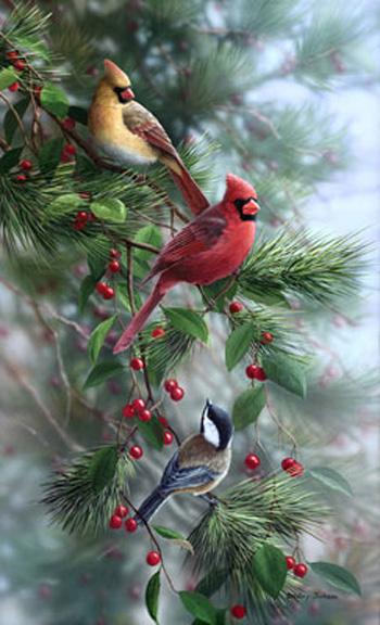 Song Birds