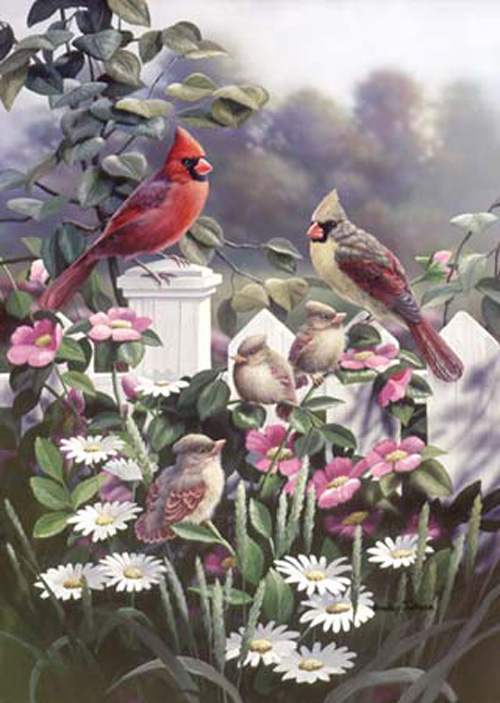 Cardinals 'N' Babies