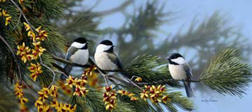 Branch Buddies