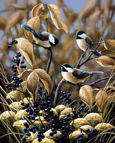 Late Fall - Chickadees