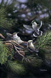Nest in the Pines