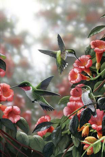 Trumpet Hummingbirds