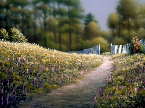 Wild Lupine