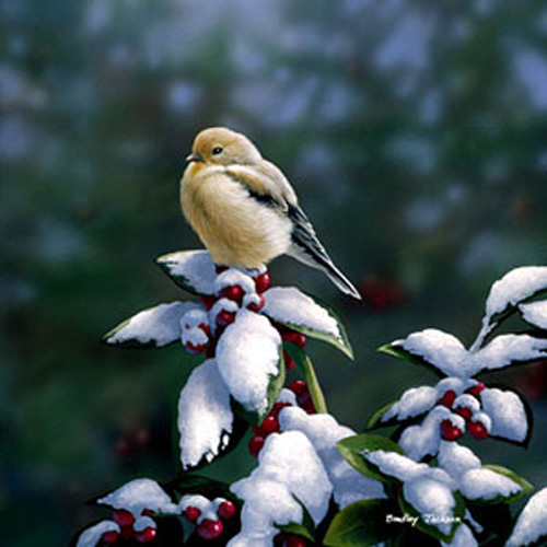Winter Chill