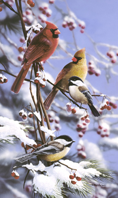 Winter Retreat