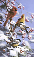 Winter Retreat