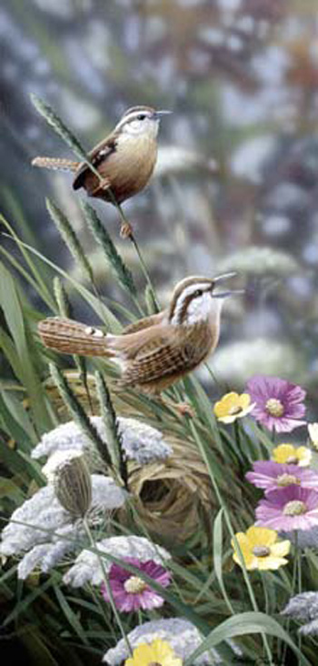 Home Builders Wren